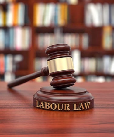 law